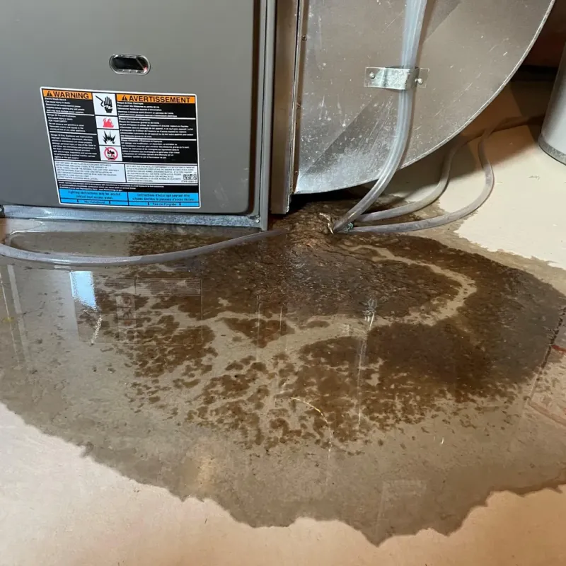 Appliance Leak Cleanup in Collegedale, TN