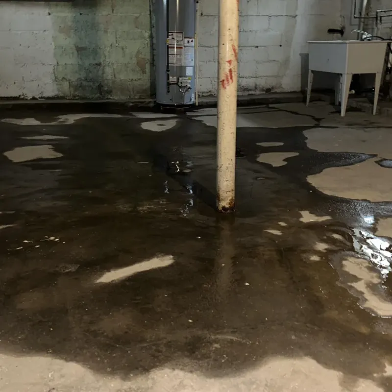 Emergency Water Extraction And Removal in Collegedale, TN